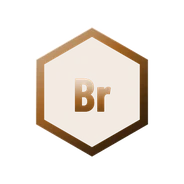 Bronze rank badge